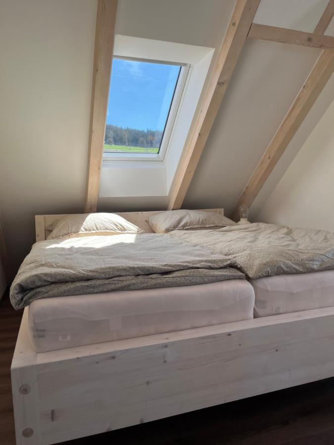 U Kralika, Apartman H, 3 Samostatne Loznice - Mezonet, Vlastni Parkovani, 50 Metru Od Vleku , Vysousece Bot V Lyzarne Dolni Morava Ngoại thất bức ảnh